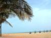 Banjul beach and palm tree