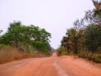 Laterite dirt road