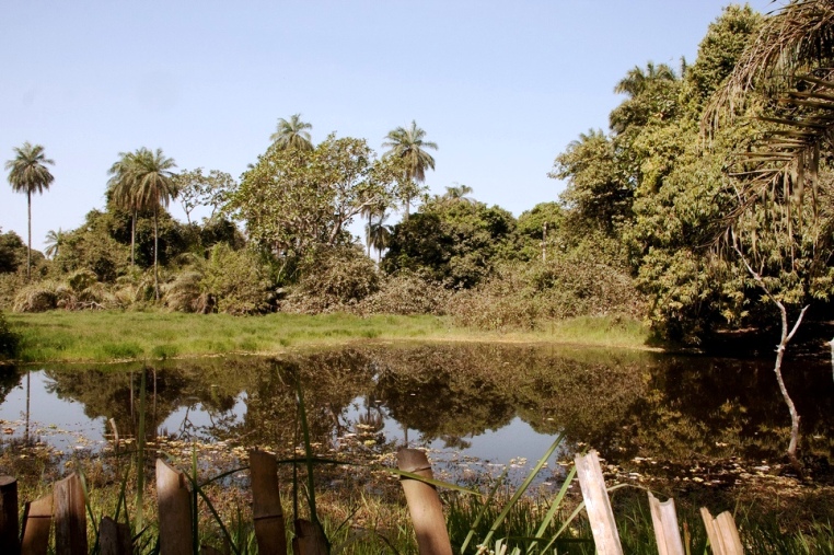 Abuko Nature Reserve