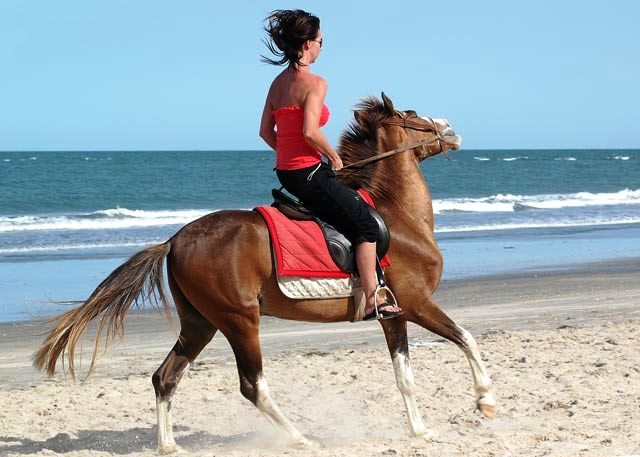 If you like to do a bit of horseback riding on Kololi's strand, then a...